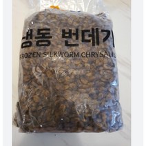 단백질 탱탱한 냉동 번데기 4KG 대용량 중국산 1개