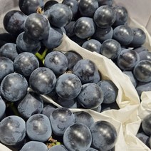 산지직송 고당도 캠벨 포도, 1kg(2~5송이), 1개