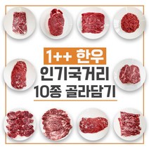 1++등급 한우 국거리 불고기 육회 다짐육 홍두께 꾸리살 설깃살 치마양지 사태 우둔살 보섭살 전각살 10종, 1++한우 불고기, 600g
