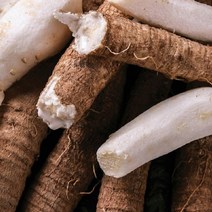 횡성 햇더덕 특 사이즈 500g, 단일옵션