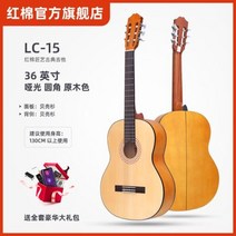 익스플로러 펜더 일렉트릭 기타 텔레 캐스터 케이스 키트 커스텀 스트링, 36inch entry LC15