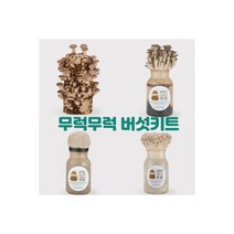 무럭무럭 버섯키우기 키트 표고버섯 1입 재배 배지 119414, 무럭무럭 버섯키우기 키트 표고