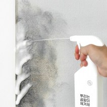 청소도감 뿌리는 곰팡이제거제 400ml 4개, 단품