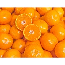 허니삼구 제주 고당도 꿀맛 타이벡밀감 5KG 2.5KG, 1박스, 5KG내외(소과-M)