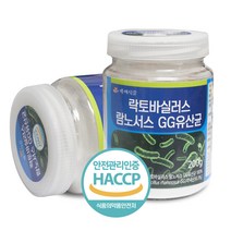 백세식품 락토바실러스 람노서스 GG유산균 200g HACCP 인증제품, 3개