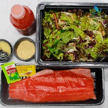 겨울제철 국내산 1급수 송어회 세트 250g 400g 600g 필렛형 통살 송어 비빔야채 콩가루 초장, 송어회 세트 250g(가시제거O)