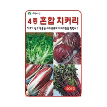 4종 혼합 치커리 씨앗 1000립 채소 씨 텃밭 야채 키우기