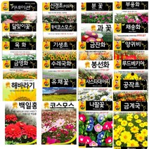 팜스마켓 꽃씨앗 허브 씨앗 모음세트 70여 품종 텃밭 베란다 재배 (꽃씨 허브씨 종자 70여품종 모음전), 52.루 80립