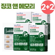 식약처 인증 은행잎 추출물 프리미엄 징코 엔 메모리 기억력 혈행 개선 뇌 두뇌 건강 영양제, 4개, 30정