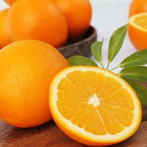 달콤한 과즙 네이블 오렌지(대과) 2kg/3kg/5kg, 오렌지 5kg(22개입)