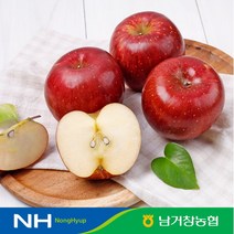 산지직송 (남거창농협)아삭아삭 달콤 꿀 사과 5kg(대과)14-16과 내외, 단품없음