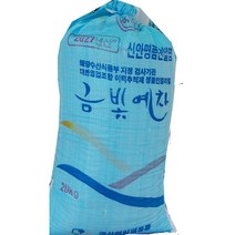 간수뺀소금 2022년산 신안군천일염10kg 20kg, 1개
