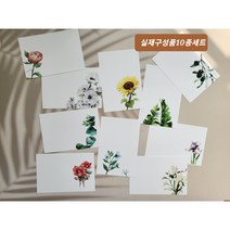 미담캘리 캘리그라피용 수채엽서10종 세트 원데이단체수업용