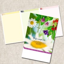 주보용지 3단 주보 교회 예배 주보인쇄 기성 디자인 칼라 청년부 주보 제작 기독교용품, EW-30