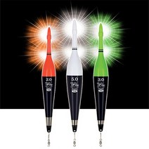 찌스 와일드파이어 2점등 바다전자찌 전자막대찌, 그린 5.0호(비자립)