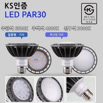 실외 야외경관조명 수목투사등 PAR30램프용, <추가상품>LED PAR30 주광색 확산형” class=”wr-img”></a></div></p></div></p></div></p></div><div class=