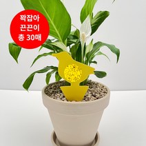 뿌리파리 끈끈이 퇴치 트랩 노란 화초 화분 초파리 날파리 끈끈이화분트랩 대용량 총30매, 3.종달새토끼(랜덤발송)