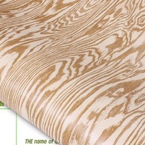 현관문필름지 화장실문시트지 단열현관문 중문시트지 낙옆송 RIT246, 122cm x 1m