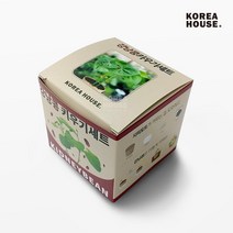 [언브랜디드] 강낭콩 키우기세트