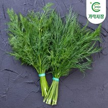 [온도씨]가락시장 딜 1팩(약10g), 단품