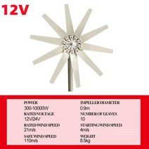 10Pcs 블레이드 10000W 12/24V 풍력 터빈 MPPT 공장 저소음 고효율, 01 12V