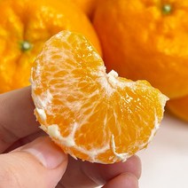 제주 서귀포 만감류 신품종 윈터프린스 3kg