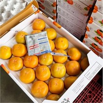 [천시원]청도 반시 씨없는감 5kg S 36-40과 내외 청도반시, 상세페이지 참조