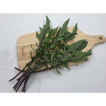[특급] 싱싱한 적치커리 500g 1kg, 적치커리500g, 1개