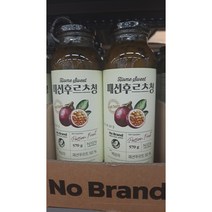 노브랜드 패션 후르츠청 570g x 2개, 570g x 2