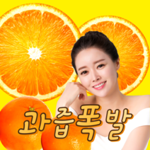 [당도보장] 제주도 천혜향 천일향 3kg 5kg 10kg 가정용 선물용, [선물용] 3kg 대과 12과수 내외