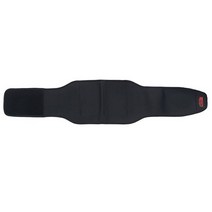 닥터체크 특수형 허리 보호대 남여공용, 1개