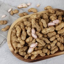 건강의정석 국산 햇땅콩 생땅콩 삶아먹는 피땅콩 흙땅콩 껍질땅콩, 1박스, 2) 국내산 생땅콩 2kg