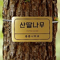 끌림광고 나무이름표 수목표찰 수목이름표 사각코팅판 150mmX100mm, 골드