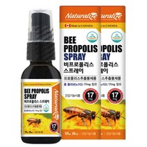 네추럴라이즈 비프로폴리스 스프레이 2박스
