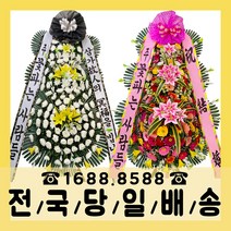 꽃다발배달꽃바구니근조화환개업화분  TOP 제품 비교