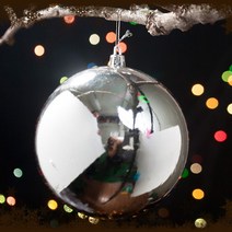 디작소 성탄절 크리스마스 트리 장식 실버 유광볼 12cm