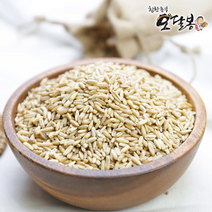 특품 2022년산 수입 귀리 귀리쌀 오트밀 통귀리, 1개, 3kg