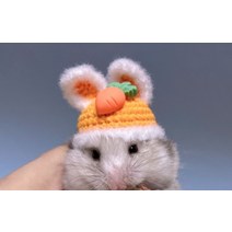 햄스터 옷 뜨개 모자 겨울 다람쥐 슈가글라이더 고슴도치, C + 1개