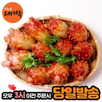 제철 활 멍게 생물 통영 꽃멍게, 1box, 꽃멍게 3kg+회초장 40g