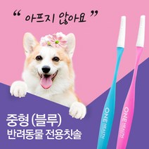 원헬스 강아지칫솔 애견 양치 강아지 이빨관리 치석제거 칫솔, 02. 원헬스 반려동물 칫솔(중형-블루)