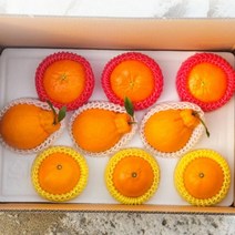 레드향 천혜향 써니트한라봉 3종 혼합 과일 선물용, 보자기o, 보자기o