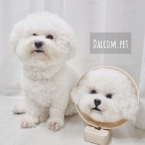달콤펫초상화 대 강아지초상화 강아지영정사진 dalcompet, 고양이 제작시 선택하세요