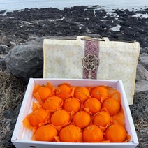 탠저린포유 한라봉 3KG 선물 레드향 귤 황금향 천혜향 레몬청만들기 타이벡감귤 감귤 타이백감귤 제주레드향, 5KG:선물