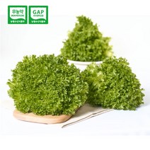 샐러드야채 달콤쌉싸름 무농약인증 [일민농원 국내산] 프릴아이스 500g (개당 150g이상) 친환경 유러피안 샐러드 뷔페샐러드, 3개