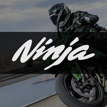 가와사키 닌자 ninja 로고스티커 오토바이데칼, 200x80mm, 검정