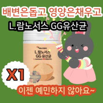 에너데이 L람노서스 GG유산균 230g 락토바실러스람노서스GG GG유산균 프락토올리고당 엘쥐쥐유산균 엘지지유산균 여성 남성 부모님 우리아이 중년 중장년 직장인 에게좋은 선물 추천, 1개
