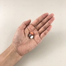 계란 달걀 메츄리알 새알 미니어처 미니 모조 작은 모형 소형 장식 화분 수조 어항 테라리움 장식, 흰색