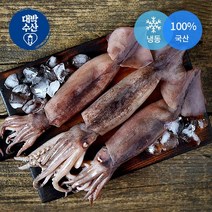 선동오징어 손질오징어 오징어 냉동오징어, 선동오징어 1kg4-5미