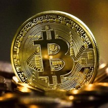 엽전 비트 코인 캡슐 암호화폐 낱개 투명 케이스 포함 행운 상징
