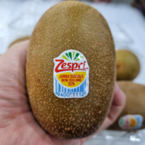 제스프리 썬골드 골드키위 점보, 6과, 왕점보(1kg)